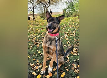 Besuche Nelli in 25474 Bönningstedt