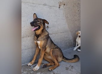 Besuche Nelli in 25474 Bönningstedt