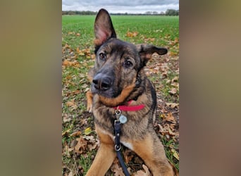 Besuche Nelli in 25474 Bönningstedt