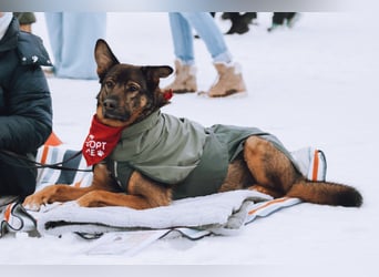 Lerne Nelli in 25474 Bönningstedt kennen