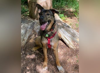 Besuche Nelli in 25474 Bönningstedt