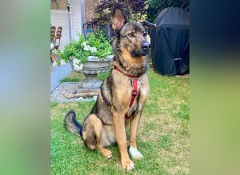 Besuche Nelli in 25474 Bönningstedt