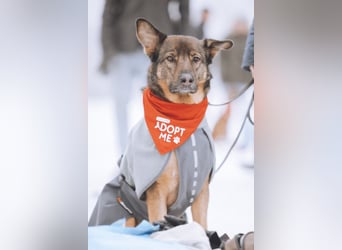 Lerne Nelli in 25474 Bönningstedt kennen