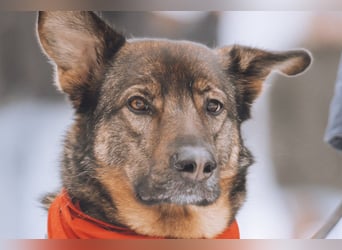 Lerne Nelli in 25474 Bönningstedt kennen