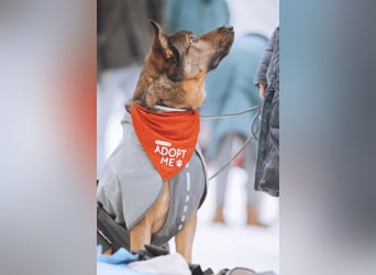 Lerne Nelli in 25474 Bönningstedt kennen