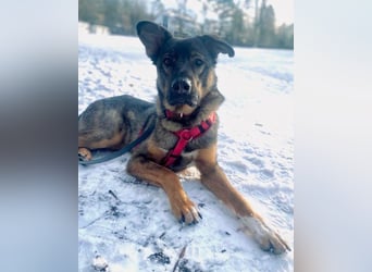 Besuche Nelli in 25474 Bönningstedt