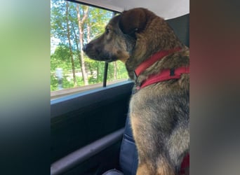 Besuche Nelli in 25474 Bönningstedt