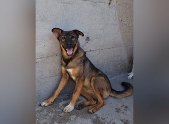 Lerne Nelli in 25474 Bönningstedt kennen ❤