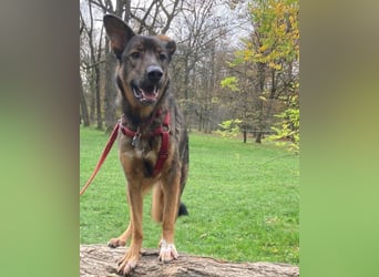 Lerne Nelli in 25474 Bönningstedt kennen