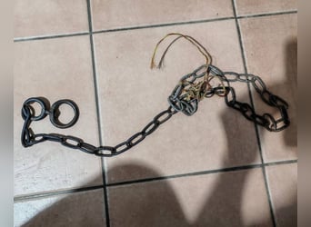 menschenbezogener Morris