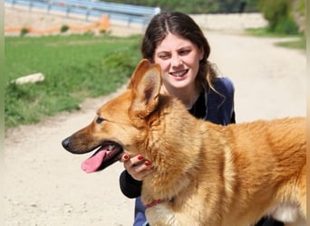 Lupetto - Da bist du ja