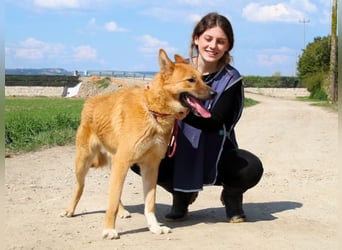 Lupetto - Da bist du ja