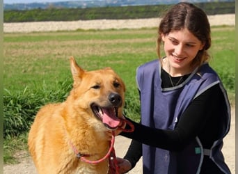 Lupetto - Da bist du ja