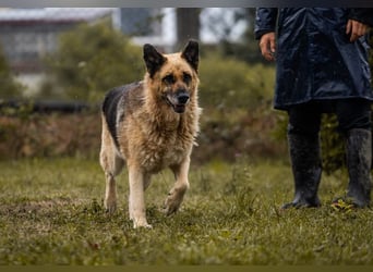 Chiku: Entspannt, entspannter, Chiku