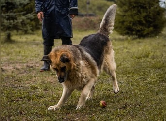 Chiku: Entspannt, entspannter, Chiku!