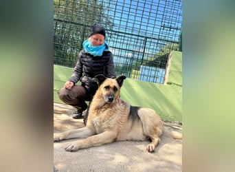 Chiku: Entspannt, entspannter, Chiku!