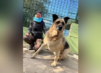 Chiku: Entspannt, entspannter, Chiku!