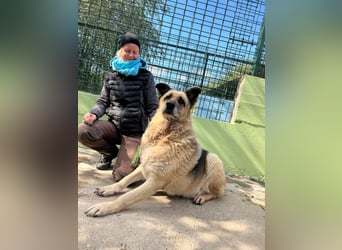 Chiku: Entspannt, entspannter, Chiku!