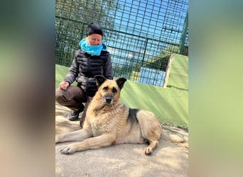 Chiku: Entspannt, entspannter, Chiku!