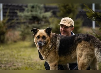 Chiku: Entspannt, entspannter, Chiku