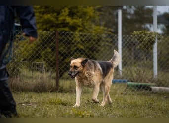 Chiku: Entspannt, entspannter, Chiku!