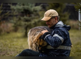 Chiku: Entspannt, entspannter, Chiku!