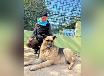 Chiku: Entspannt, entspannter, Chiku!