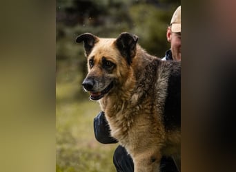 Chiku: Entspannt, entspannter, Chiku