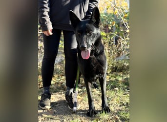 Elza möchte endlich dazugehören