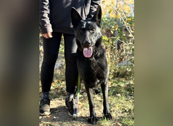 Elza möchte endlich dazugehören