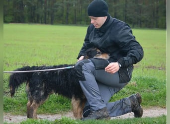RESERV.-„Stefan“, ein sehr treuer Freund für’s Leben. Sehr treu, lieb, sanft, ruhig und verschmust.