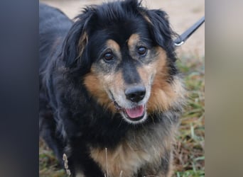 RESERV.-„Stefan“, ein sehr treuer Freund für’s Leben. Sehr treu, lieb, sanft, ruhig und verschmust.