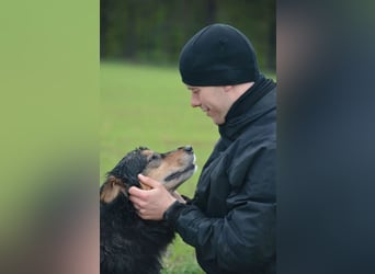 RESERV.-„Stefan“, ein sehr treuer Freund für’s Leben. Sehr treu, lieb, sanft, ruhig und verschmust.