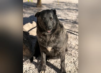 Judit, freundliche Strahlemaus sucht ihren Herzensmensch