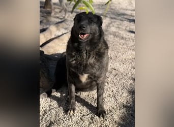 Judit, unser Sonnenschein, fröhlich und lustig