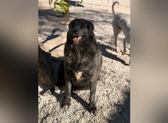 Judit, freundliche Strahlemaus sucht ihren Herzensmensch