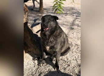 Judit, freundliche Strahlemaus sucht ihren Herzensmensch