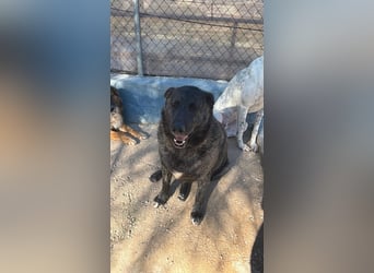 Judit, freundliche Strahlemaus sucht ihren Herzensmensch