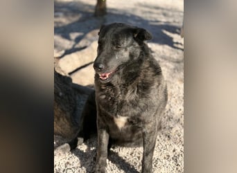 Judit, freundliche Strahlemaus sucht ihren Herzensmensch