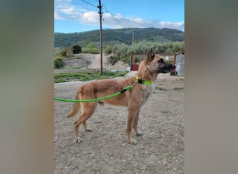 Ron, warum fragt keiner nach mir …