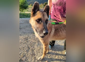 Ron, warum fragt keiner nach mir …