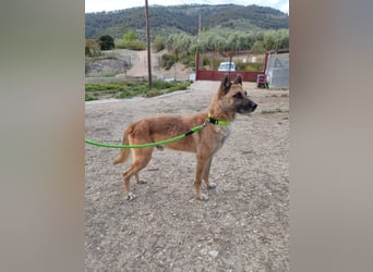 Ron, warum fragt keiner nach mir …