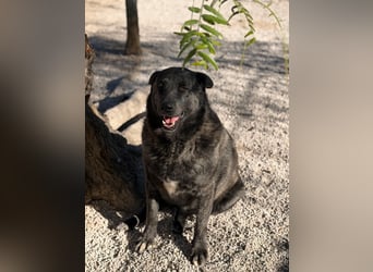 Judit, freundliche Strahlemaus sucht ihren Herzensmensch