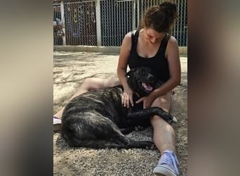 Judit, freundlich und sehr menschenbezogen