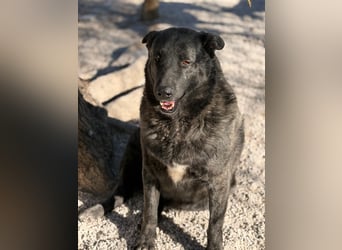 Judit, freundliche Strahlemaus sucht ihren Herzensmensch