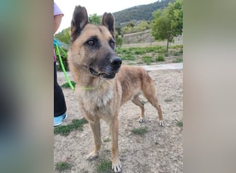 Ron, warum fragt keiner nach mir …