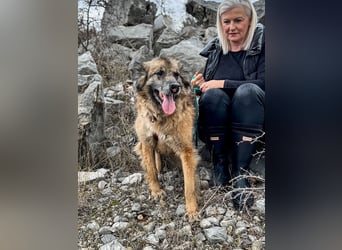 Wilma - Sonnenschein sucht Familie mit Herz