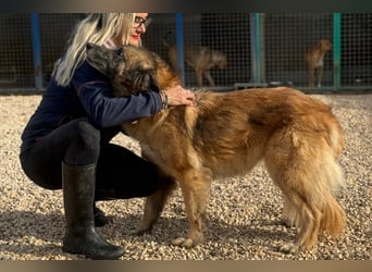 Wilma - Sonnenschein sucht Familie mit Herz