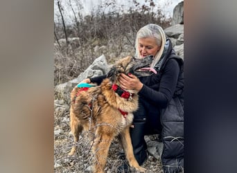 Wilma - Sonnenschein sucht Familie mit Herz