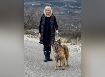 Wilma - Sonnenschein sucht Familie mit Herz